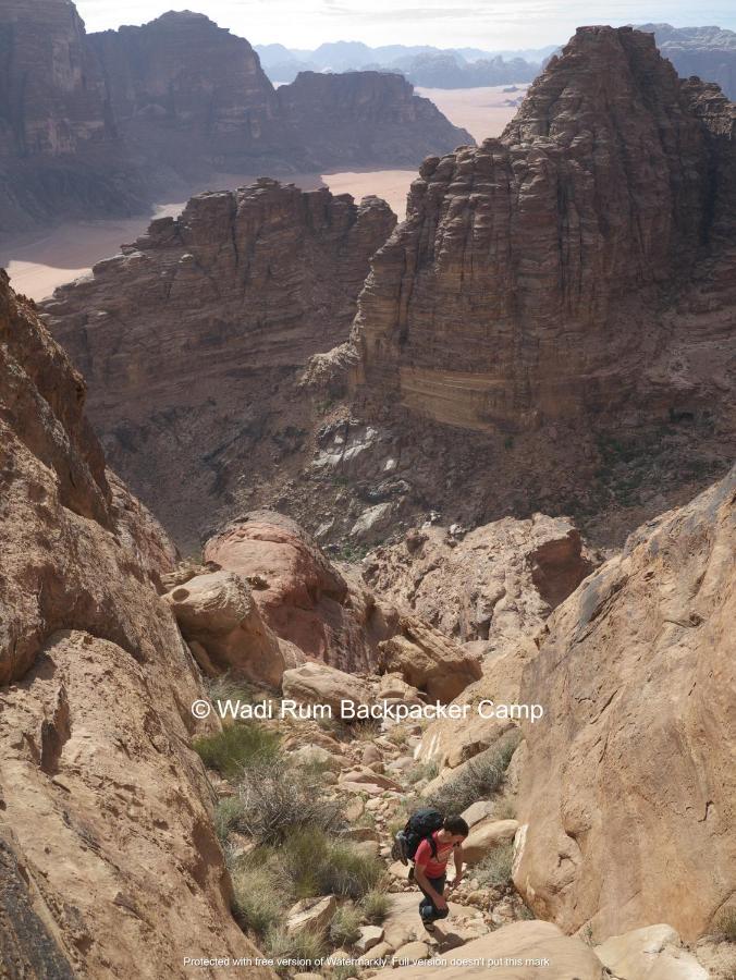 Wadi Rum Backpacker Camp Eksteriør bilde